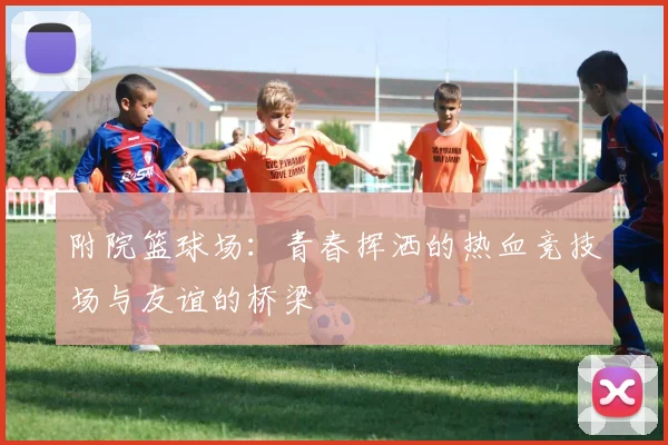 附院篮球场：青春挥洒的热血竞技场与友谊的桥梁