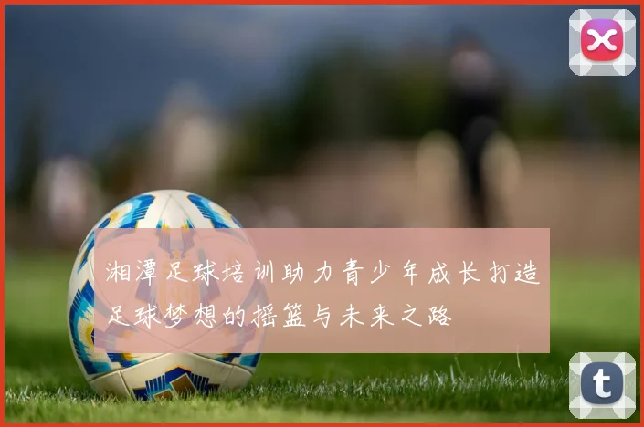 湘潭足球培训助力青少年成长打造足球梦想的摇篮与未来之路