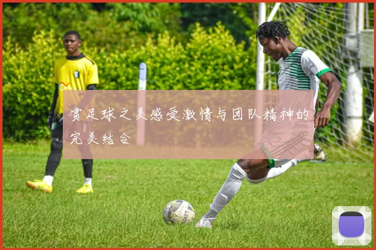 赏足球之美感受激情与团队精神的完美结合