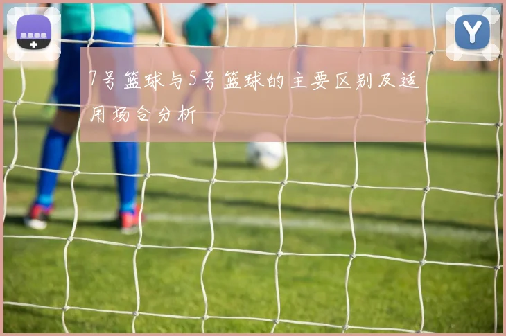 7号篮球与5号篮球的主要区别及适用场合分析