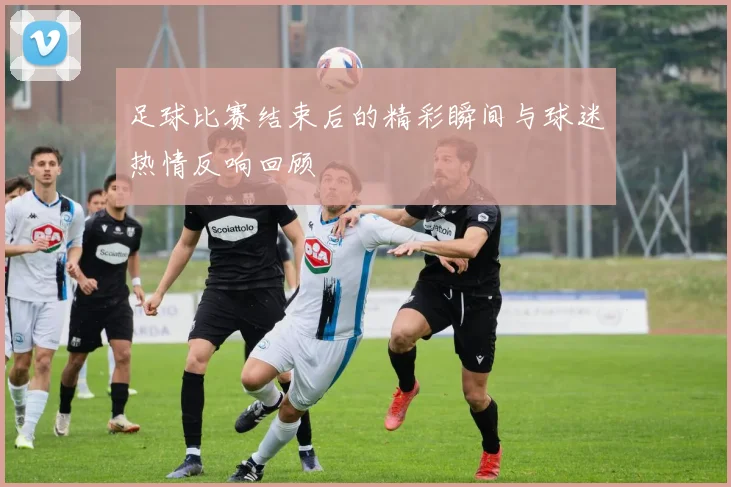 足球比赛结束后的精彩瞬间与球迷热情反响回顾