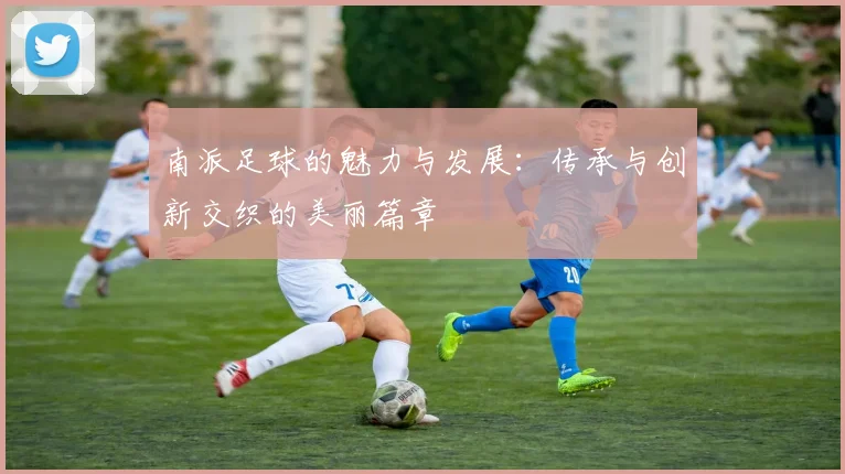 南派足球的魅力与发展：传承与创新交织的美丽篇章