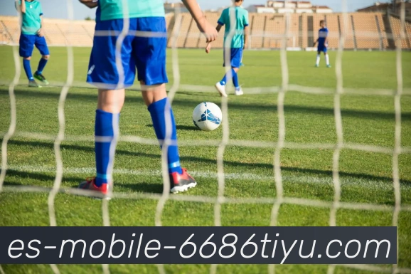 下载登录平台生态图